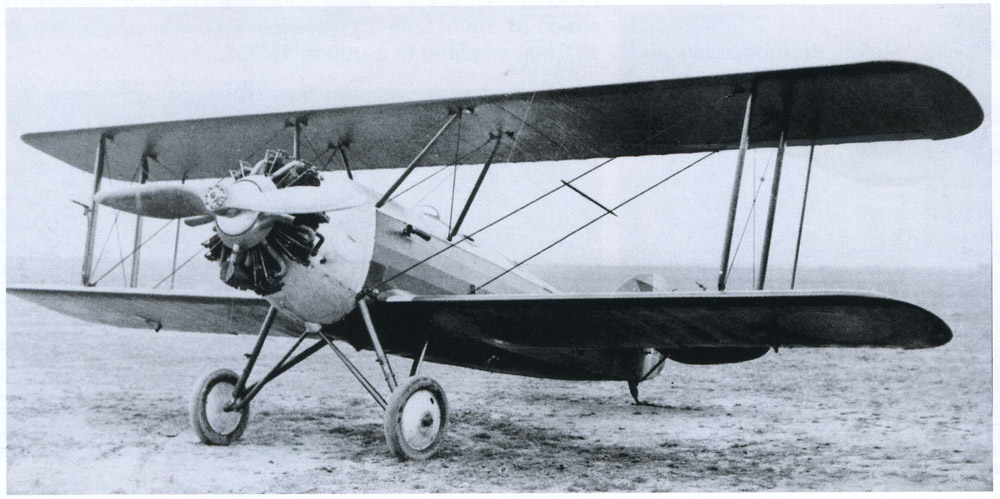 plane SET-31 | 1930 (double control)