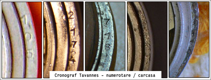 numerotare carcase
